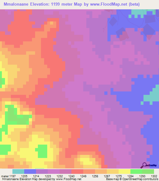 Mmalonaane,Botswana Elevation Map