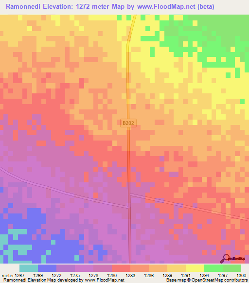 Ramonnedi,Botswana Elevation Map