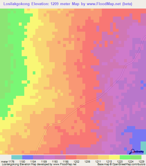 Losilakgokong,Botswana Elevation Map