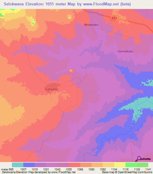 Selokwana,Botswana Elevation Map