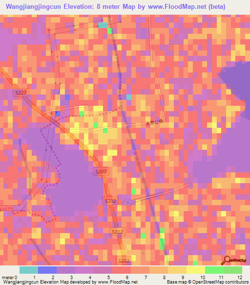 Wangjiangjingcun,China Elevation Map