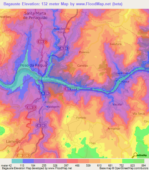 Bagauste,Portugal Elevation Map