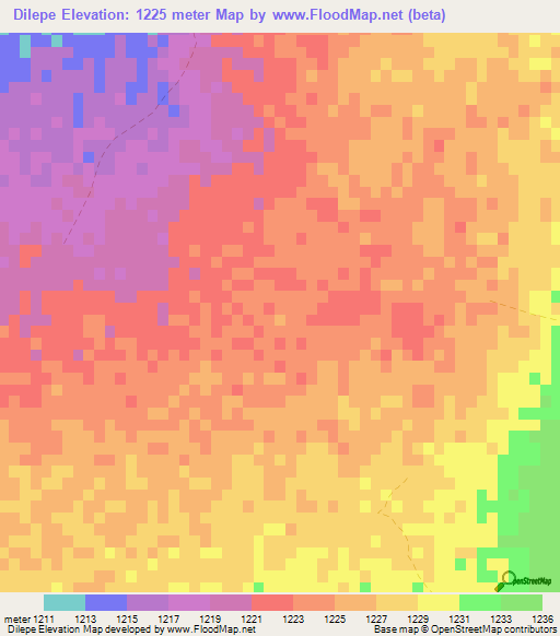 Dilepe,Botswana Elevation Map