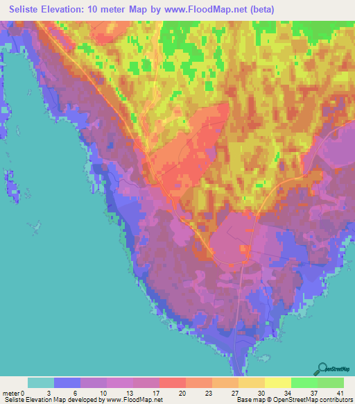 Seliste,Estonia Elevation Map