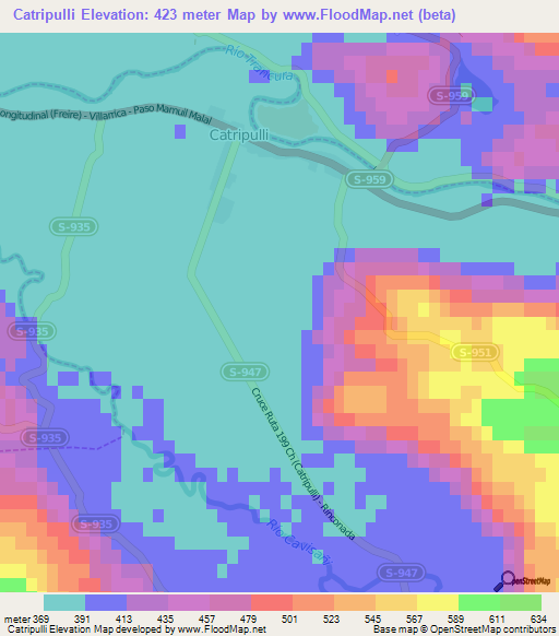Catripulli,Chile Elevation Map