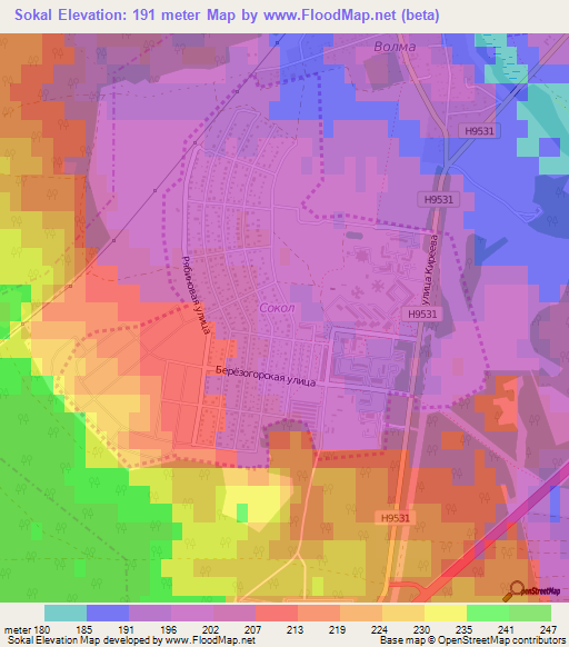 Sokal,Belarus Elevation Map