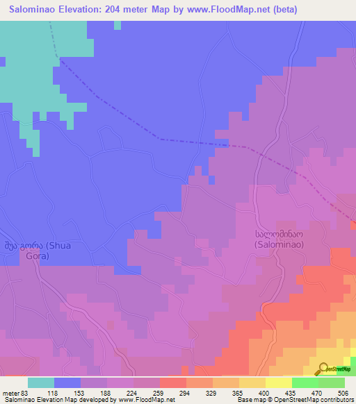 Salominao,Georgia Elevation Map