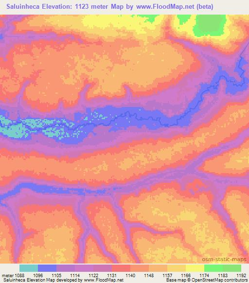 Saluinheca,Angola Elevation Map