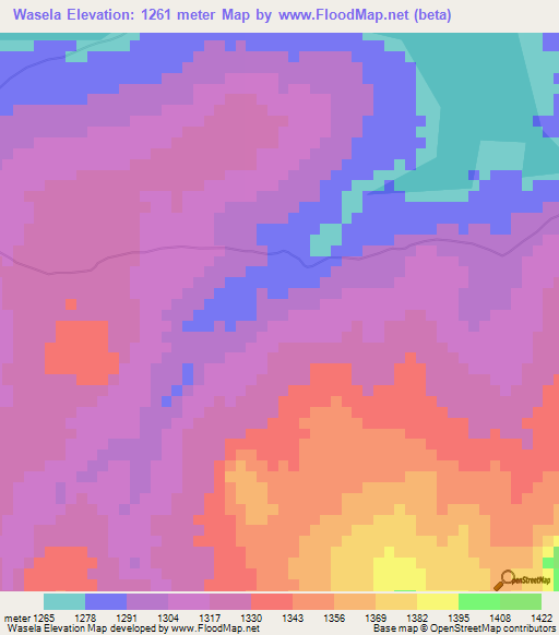 Wasela,Congo (Kinshasa) Elevation Map