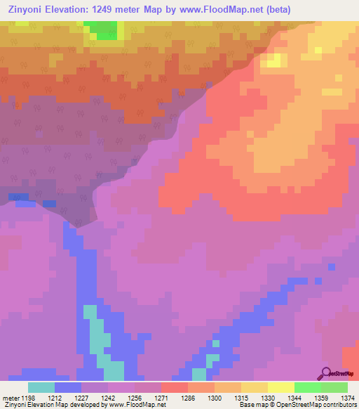 Zinyoni,Malawi Elevation Map