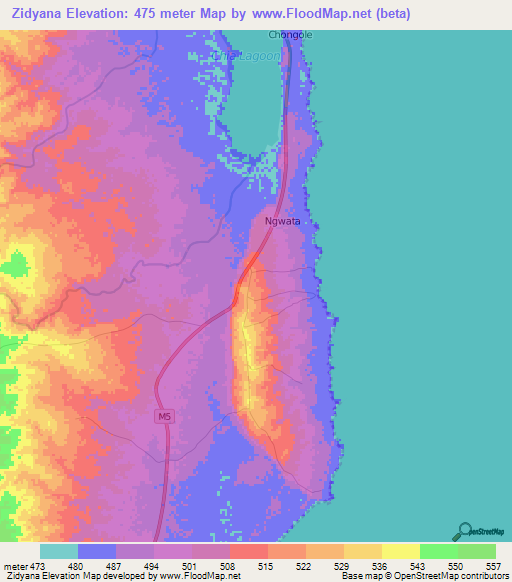 Zidyana,Malawi Elevation Map