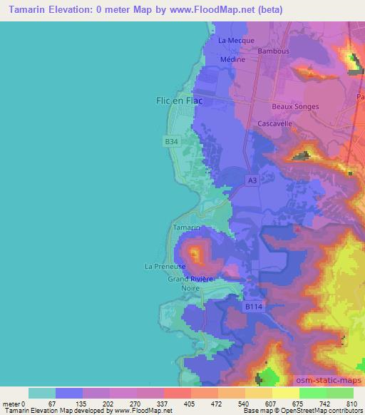 Tamarin,Mauritius Elevation Map