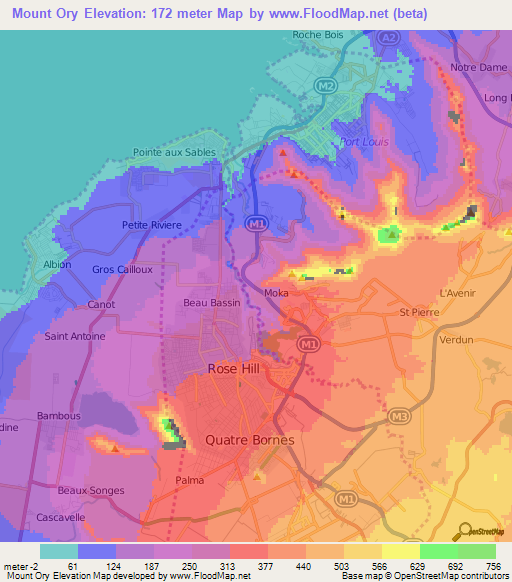 Mount Ory,Mauritius Elevation Map