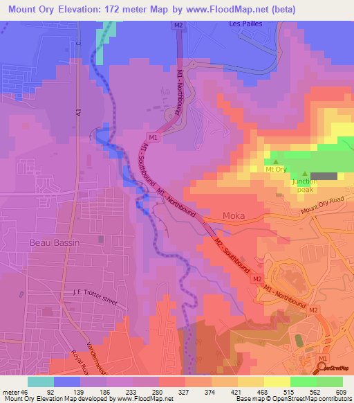 Mount Ory,Mauritius Elevation Map