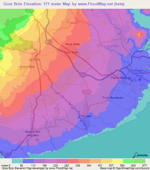 Gros Bois,Mauritius Elevation Map