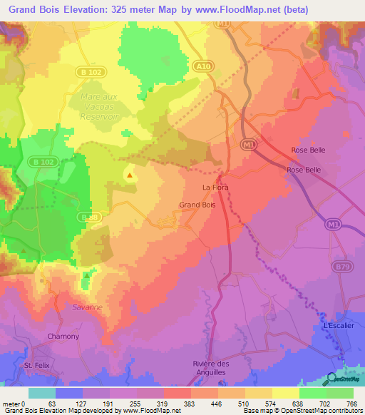 Grand Bois,Mauritius Elevation Map