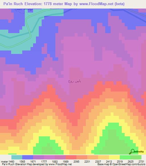 Pa'in Ruch,Iran Elevation Map