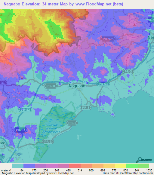 Naguabo,Puerto Rico Elevation Map