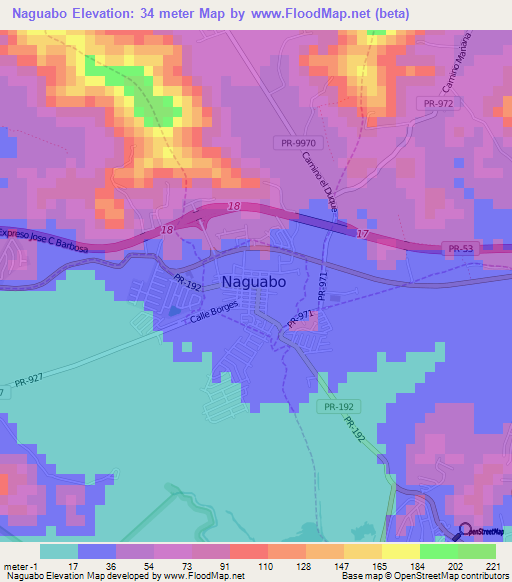 Naguabo,Puerto Rico Elevation Map